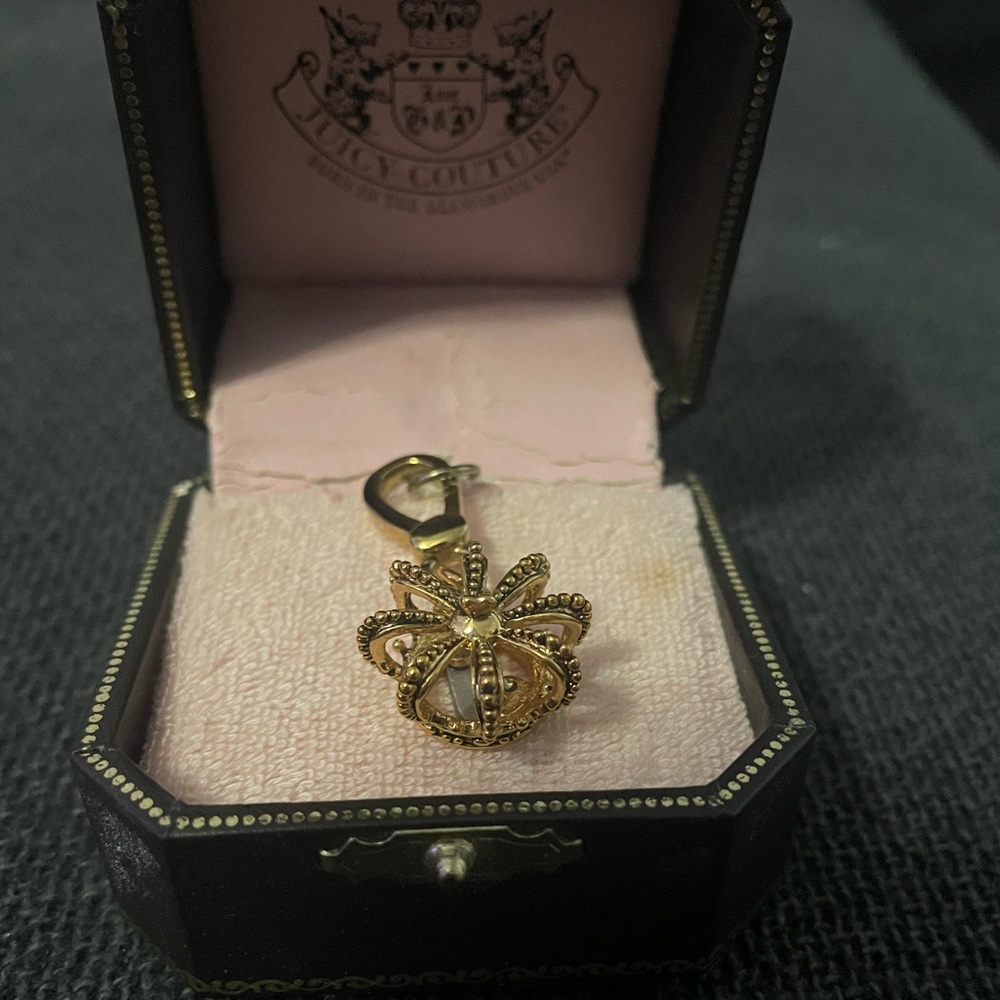 Bundle of juicy couture charms